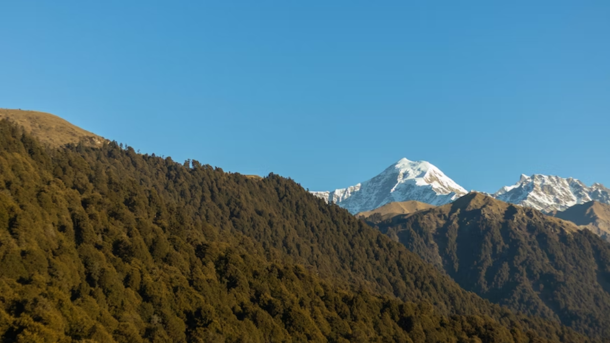 Dayara Bugyal trekking