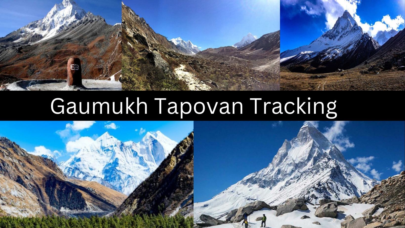 Gaumukh Tapovan Tracking