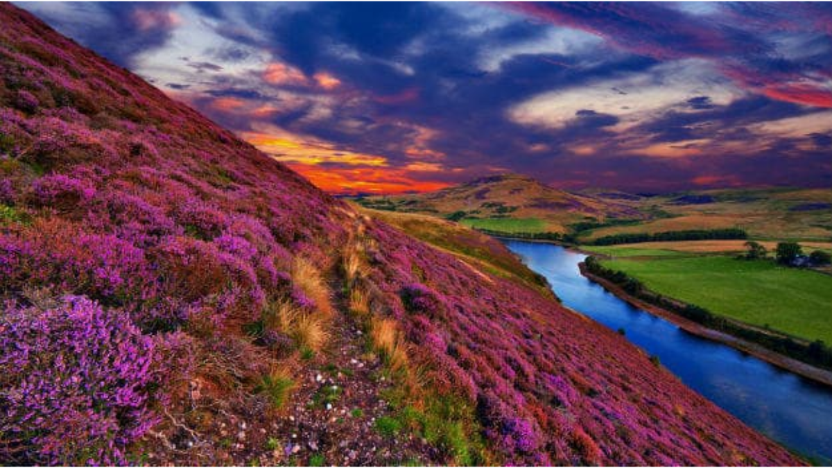 Valley of Flowers trek