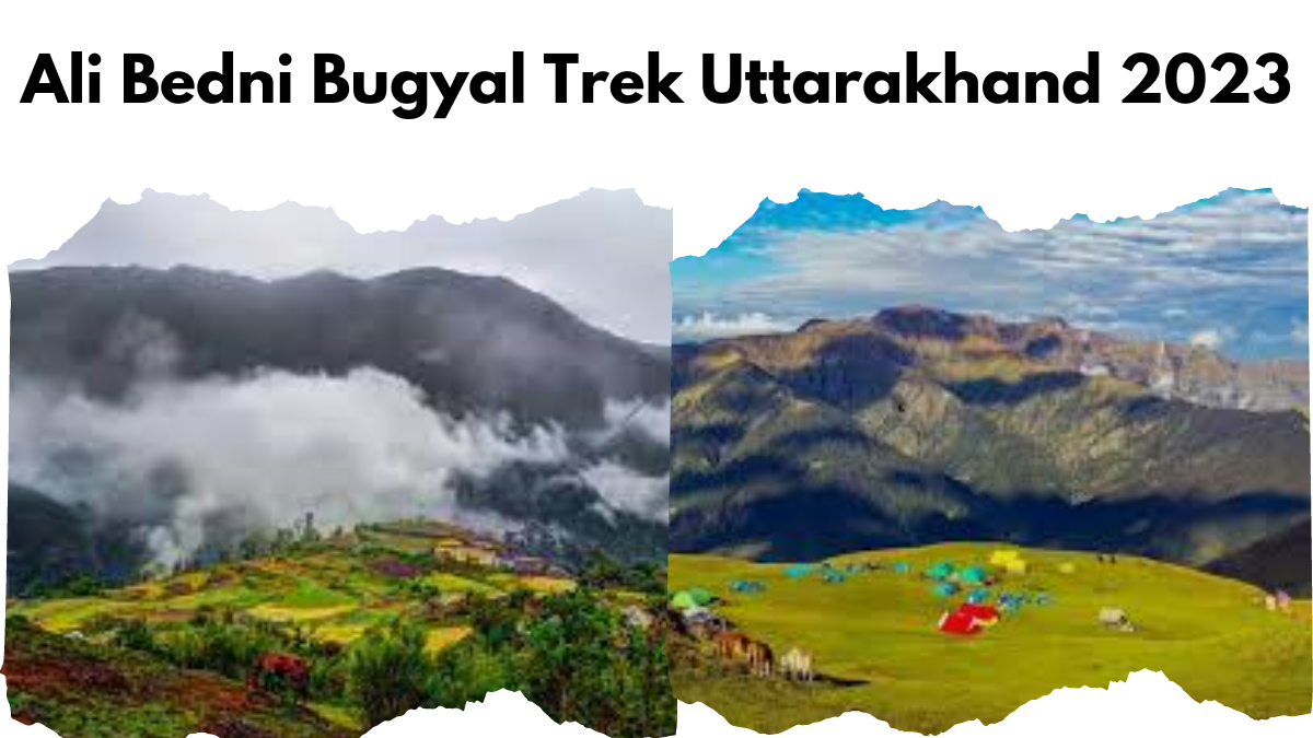 Ali Bedni Bugyal Trek Uttarakhand 2023