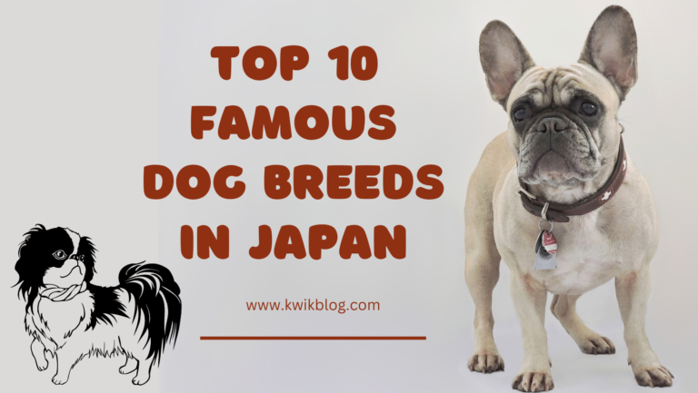 Top 10 Famous Dog Breeds in Japan