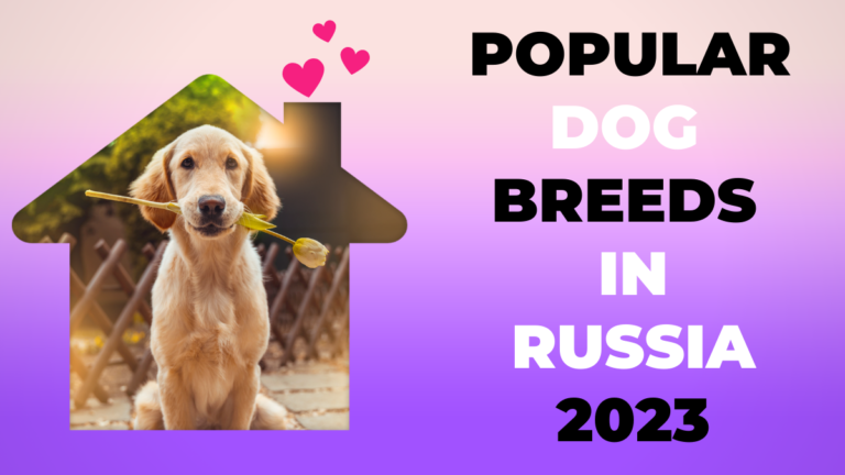 Popular Dog Breeds in Russia