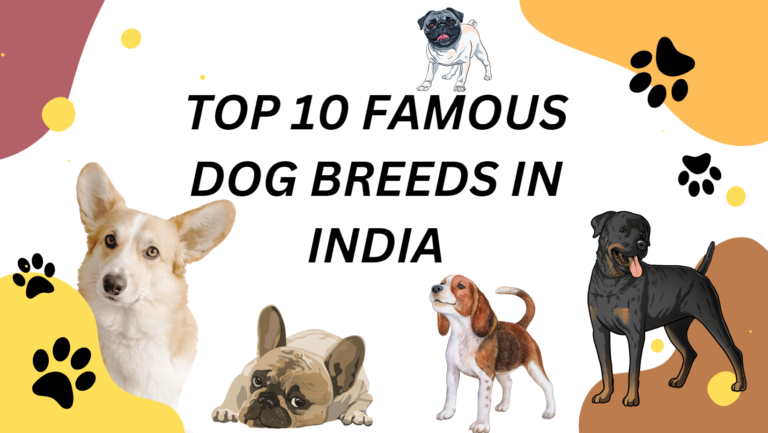 top 10 famous dog breeds in India